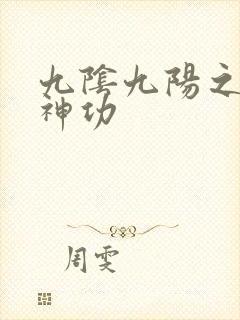 九阴九阳之阴阳神功封面