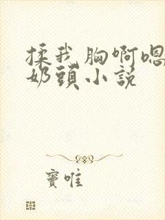 揉我胸啊嗯～吸奶头小说