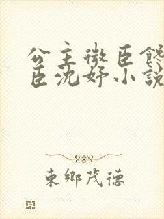 公主微臣馋了微臣沈妤小说