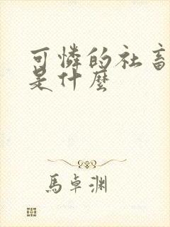 可怜的社畜讲的是什么封面