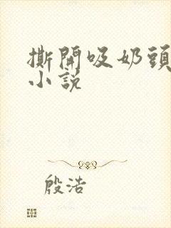 撕开吸奶头进女小说