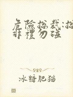 危险总裁:总裁非礼勿碰