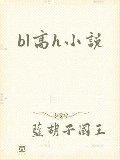 bl高h小说