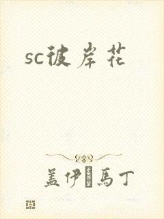 sc彼岸花