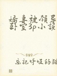 娇妻被领导抱到卧室3p小说