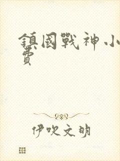 镇国战神小说免费封面