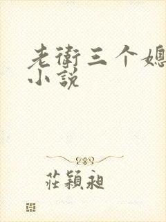老卫三个媳妇的小说