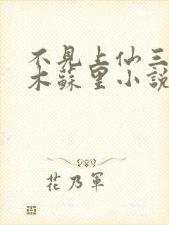 不见上仙三百年木苏里小说完结