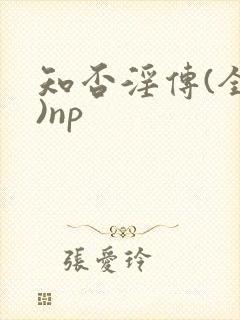 知否淫传(全肉)np