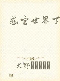 感官世界下载