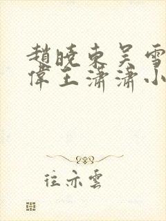 赵晓东吴雪晴郑伟王潇潇小说名字封面