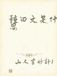 种田文是什么意思