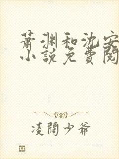 萧渊和沈安安的小说免费阅读