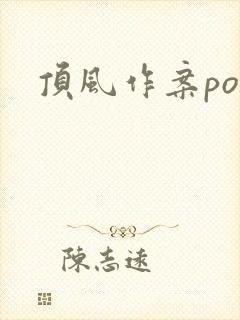 顶风作案po封面
