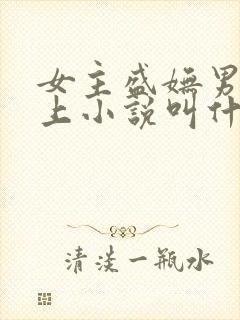 女主盛妩男主皇上小说叫什么封面