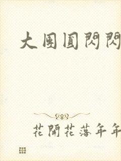 大团圆闪闪发光封面