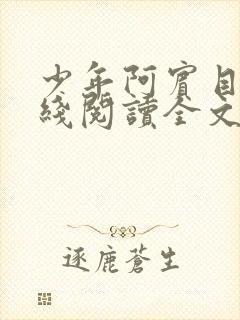 少年阿宾目录在线阅读全文