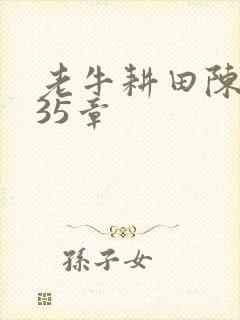 老牛耕田陈雪435章