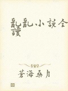 乱乱小说全文阅读