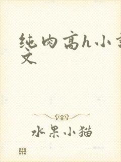 纯肉高h小说辣文封面