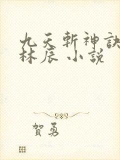 九天斩神诀小说林辰 小说