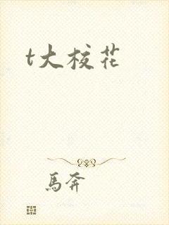 t大校花