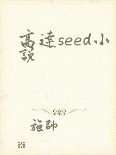 高达seed小说