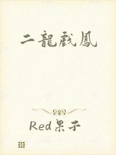二龙戏凤