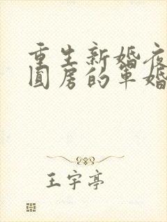 重生新婚夜正在圆房的军婚