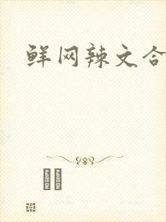 鲜网辣文合集