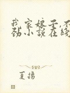 我家娘子,不对劲小说在线阅读