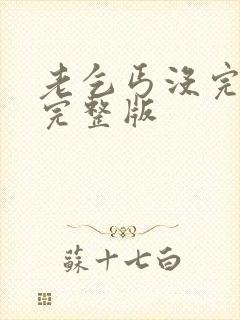 老乞丐没完没了完整版