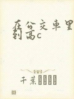 在公交车里c弄到高c