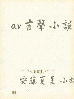 av有声小说