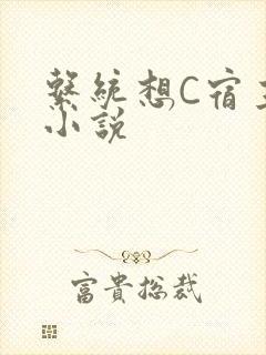 系统想C宿主的小说