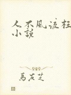 人不风流枉少年小说