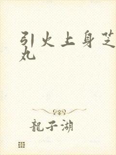 引火上身芝麻糖丸