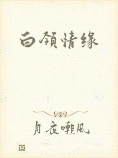 白领情缘