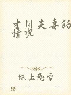 才川夫妻的恋爱情况