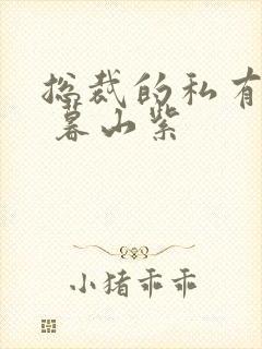 总裁的私有宝贝 暮山紫