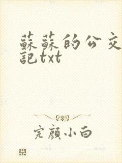 苏苏的公交车日记txt