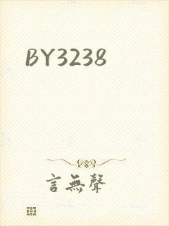 BY3238封面