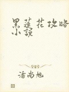 黑莲花攻略手册小说