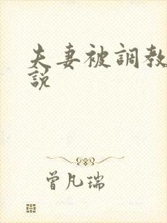 夫妻被调教的小说封面