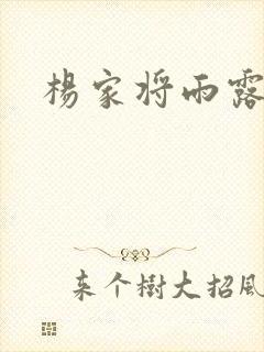 杨家将雨露均沾封面