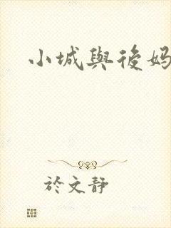 小城与后妈封面