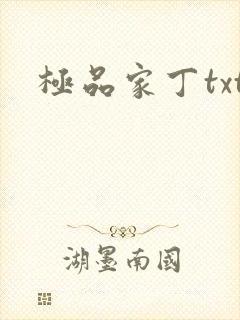 极品家丁txt