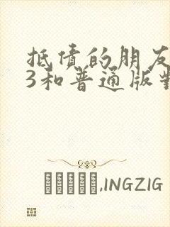 抵债的朋友麦子3和普通版对比