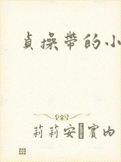 贞操带的小说
