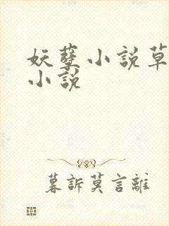 妖孽小说草莓酱小说
